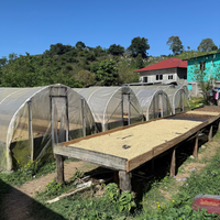 Drying patios in the backyard of the Moreno family home.