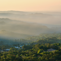 Guatemala Tasting Series